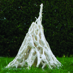 Termite Mound